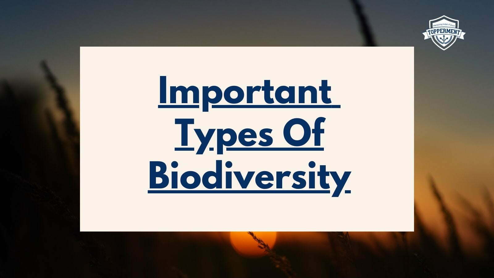 Important Types Of Biodiversity-TopperMent