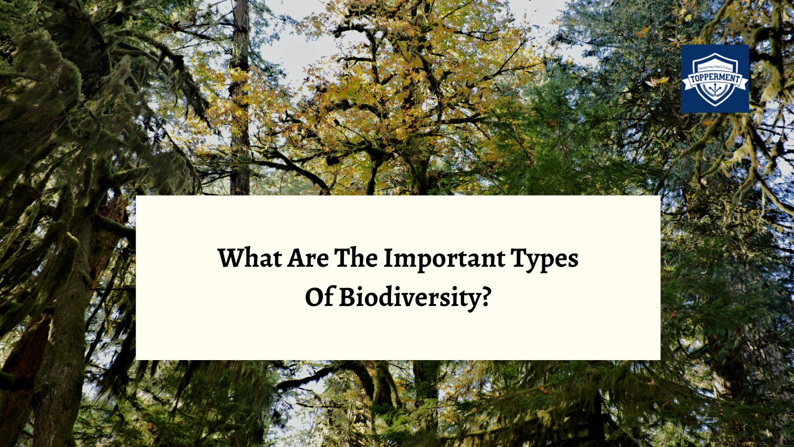 Important Types of Biodiversity: A Comprehensive Overview-TopperMent
