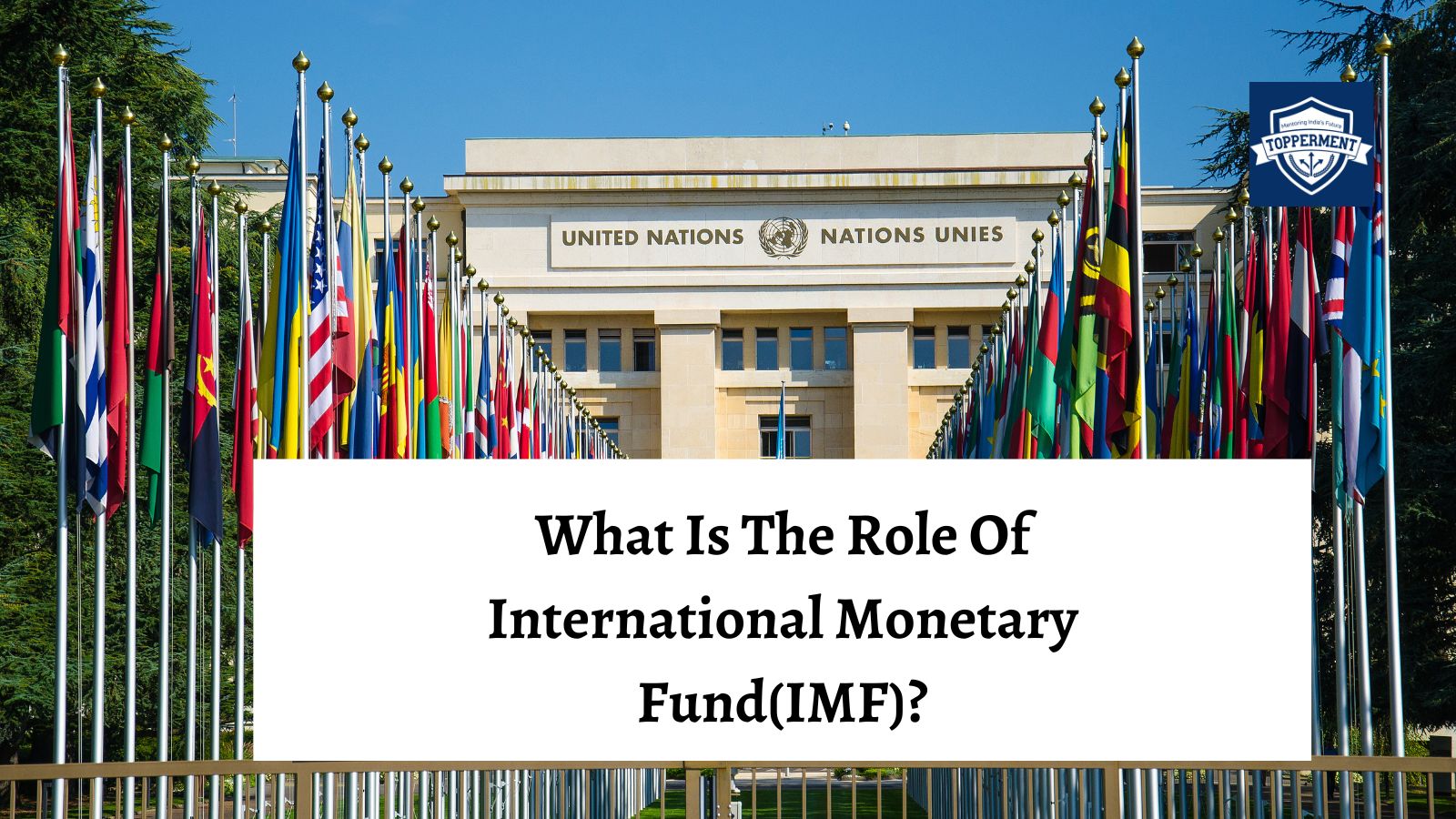What Is The Role Of International Monetary Fund? -TopperMent