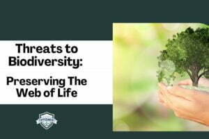 Threats to Biodiversity: Preserving the Web of Life-TopperMent