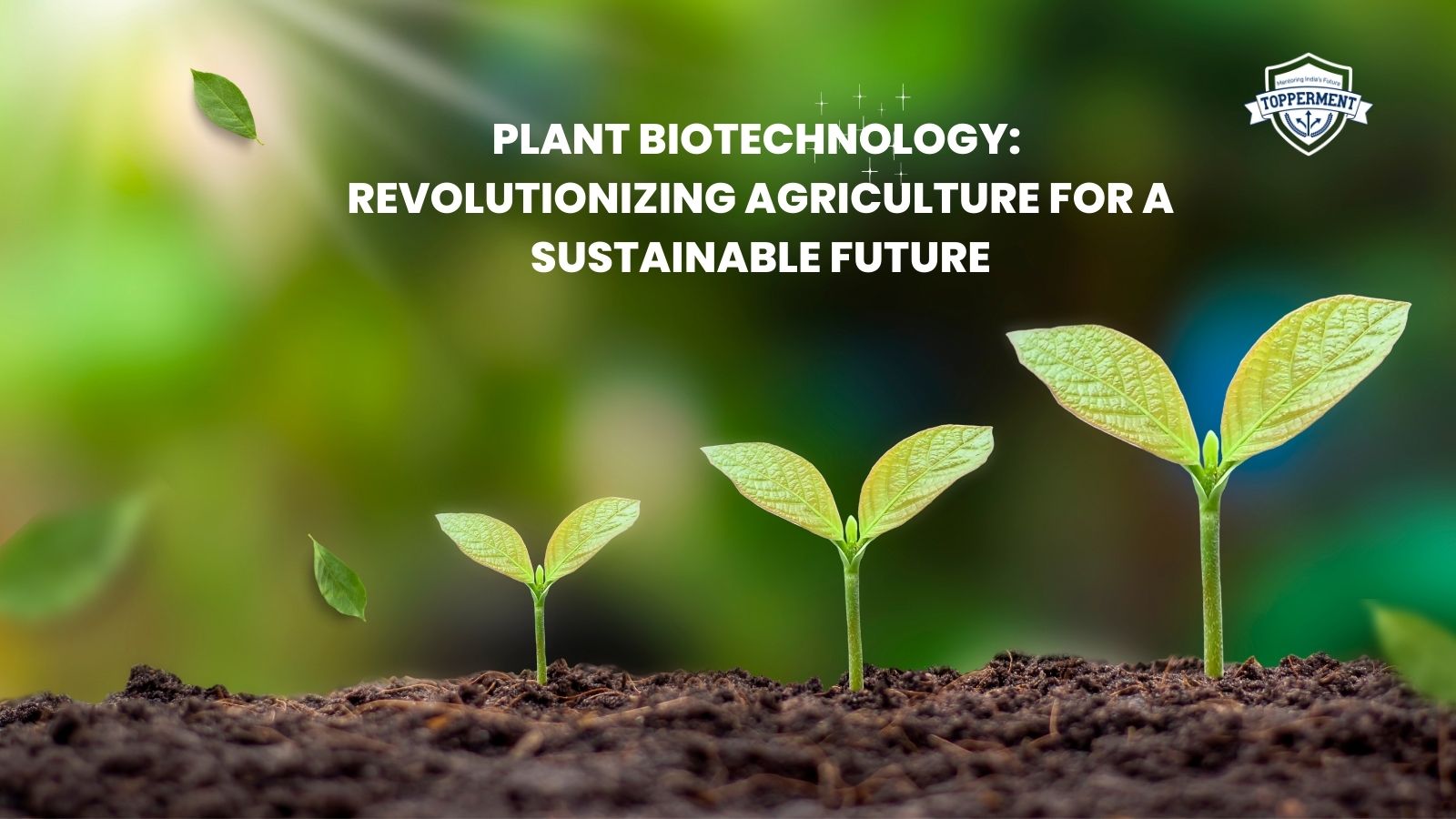 Plant Biotechnology: Revolutionizing Agriculture for a Sustainable Future-TopperMent