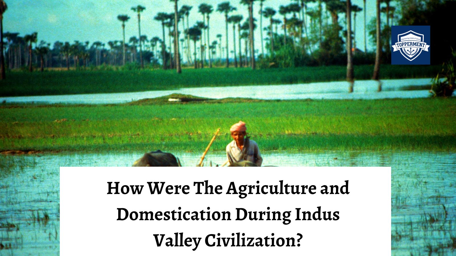 How were agriculture and domestication of animals during Indus Valley Civilization? | Best UPSC IAS Coaching For Mentorship And Guidance