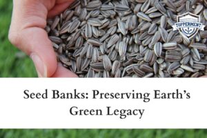 Seed-Banks-Preserving-Earths-Green-Legacy-Best-UPSC-IAS-Coaching-For-Mentorship-And-Guidance