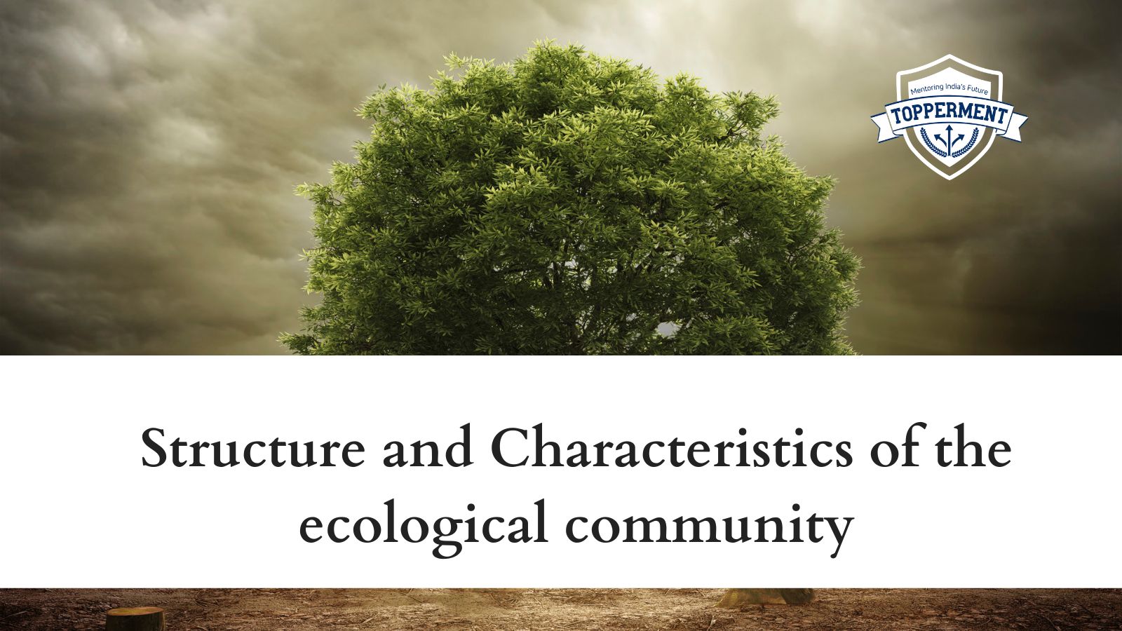 Structure-and-Characteristics-of-the-ecological-community-Best-UPSC-IAS-Coaching-For-Mentorship-And-Guidance