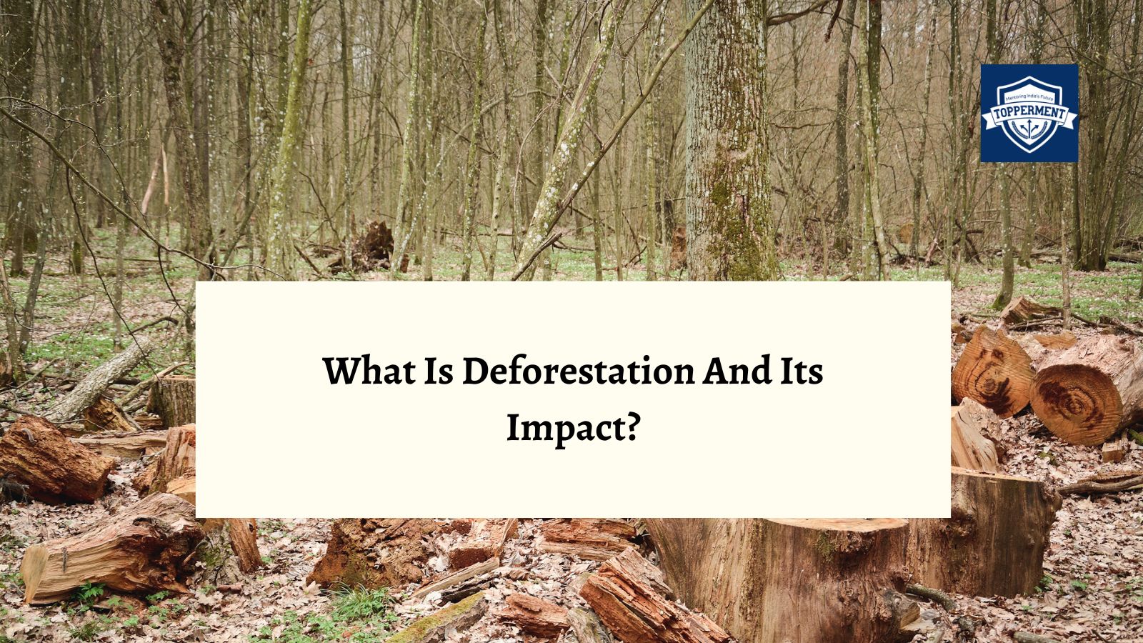 The Devastating Impact of Deforestation What You Need to Know | Best UPSC IAS Coaching For Guidance And Mentorship