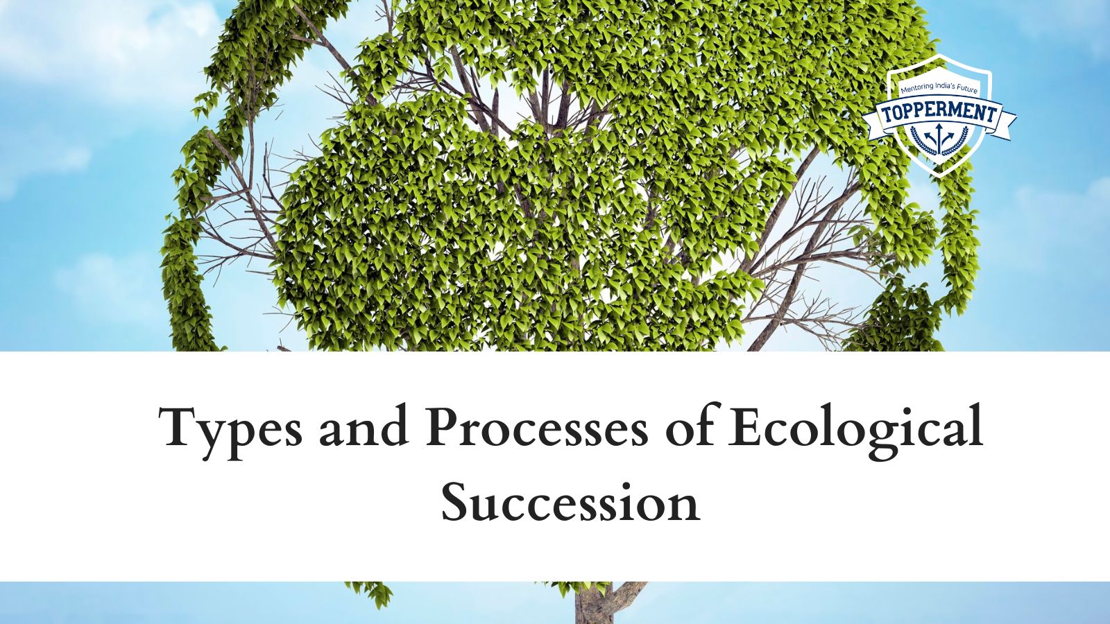 Types-and-Processes-of-Ecological-Succession-Best-UPSC-IAS-Coaching-For-Mentorship-And-Guidance