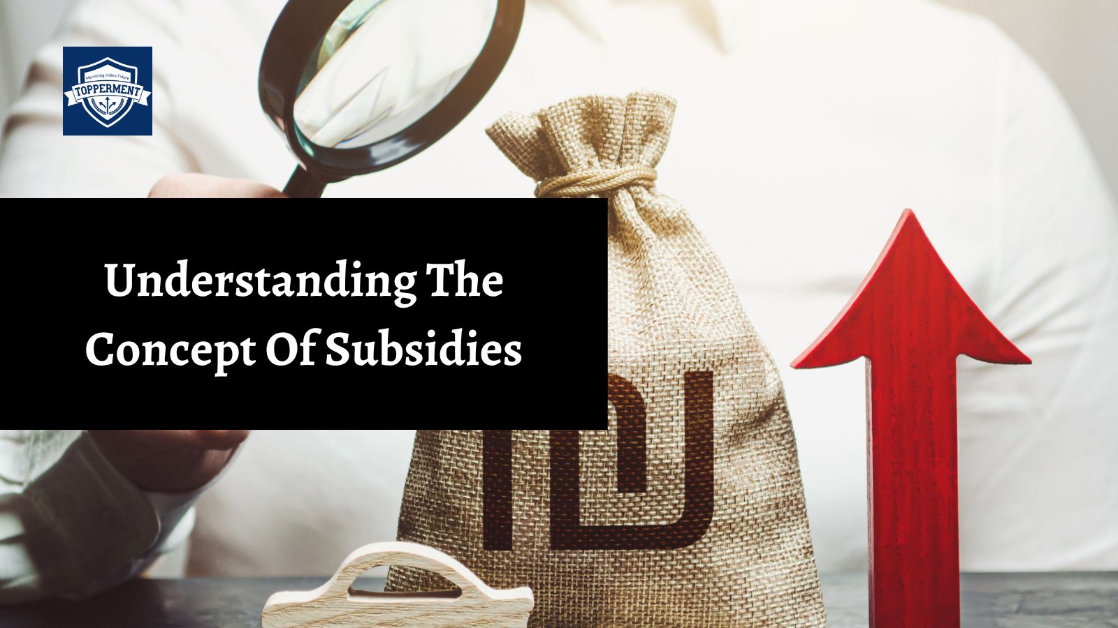 Understanding-The-Concept-Of-Subsidies-Best-UPSC-IAS-Coaching-For-Mentorship-And-Guidance