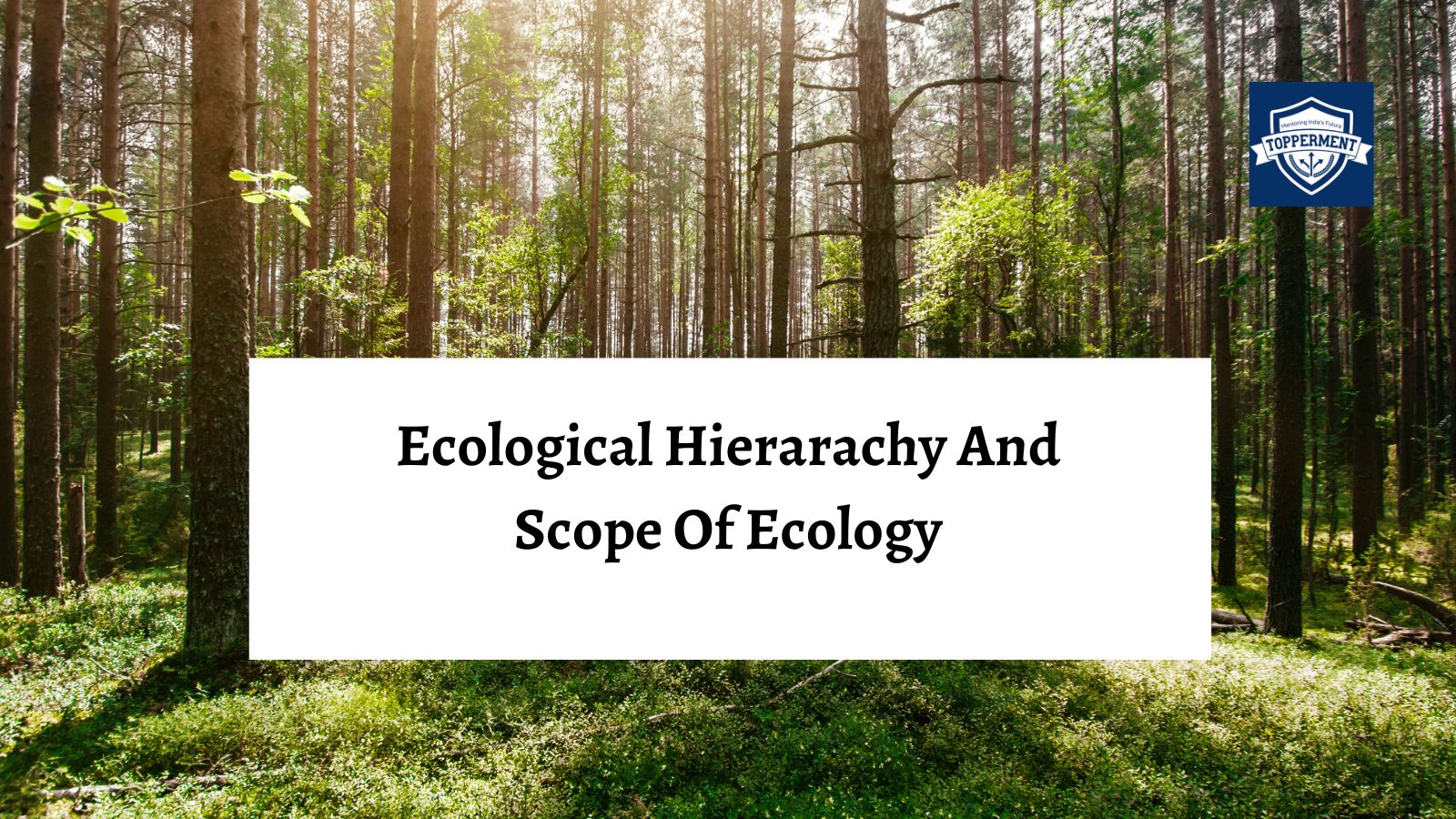 Understanding the Ecological Hierarchy and Scope of Ecology | Best UPSC IAS Coaching For Mentorship And Guidance