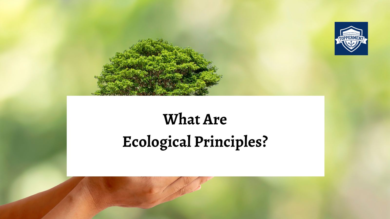 Understanding the Fundamental Principles of Ecology | Best UPSC IAS Coaching For Mentorship And Guidance