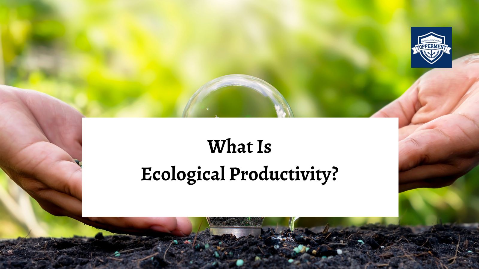 Understanding the Importance of Ecological Productivity | Best UPSC IAS Coaching For Mentorship And Guidance