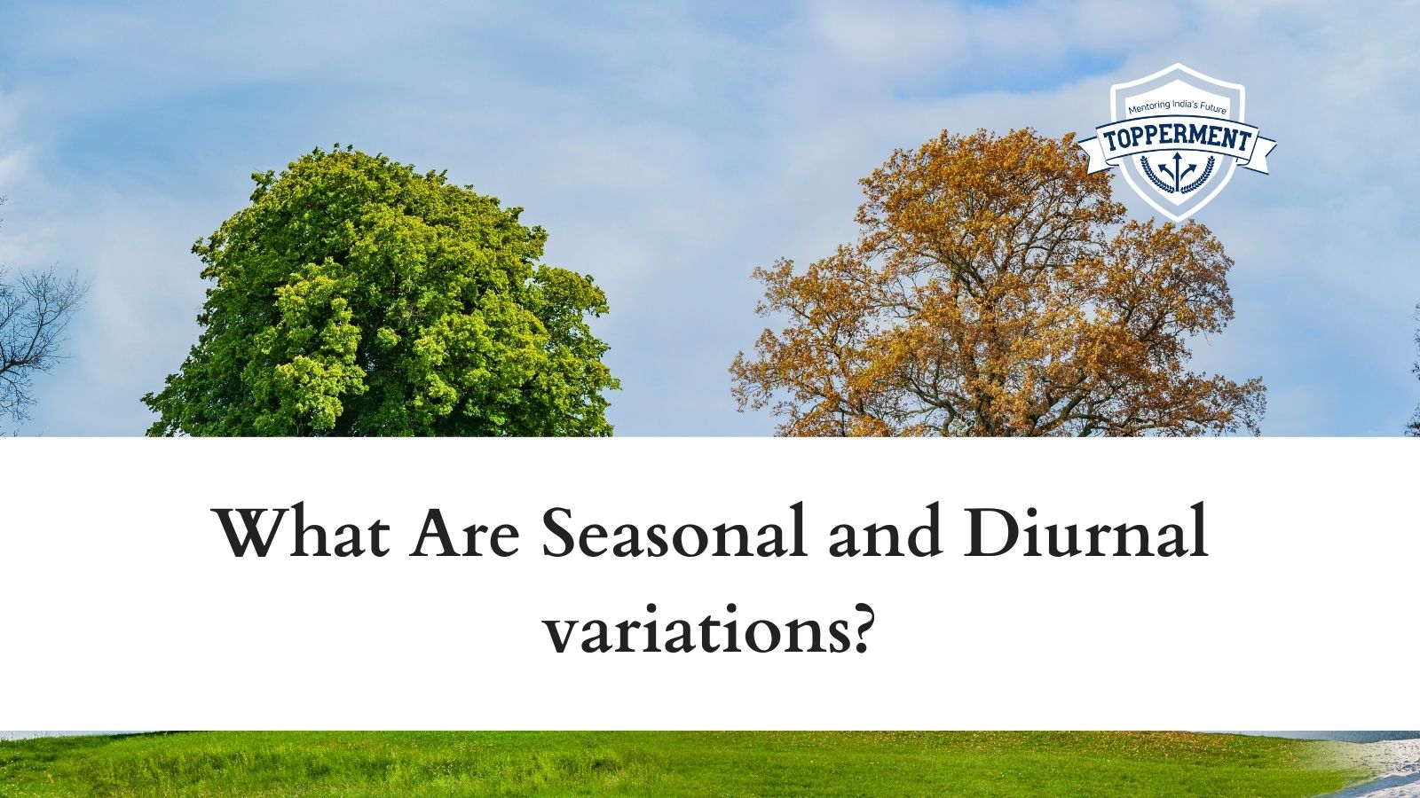 What Are Seasonal and Diurnal variations? | Best UPSC IAS Coaching For Mentorship And Guidance
