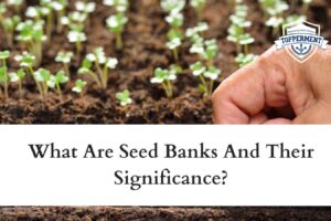 What-Are-Seed-Banks-And-Their-Significance-Best-UPSC-IAS-Coaching-For-Mentorship-And-Guidance