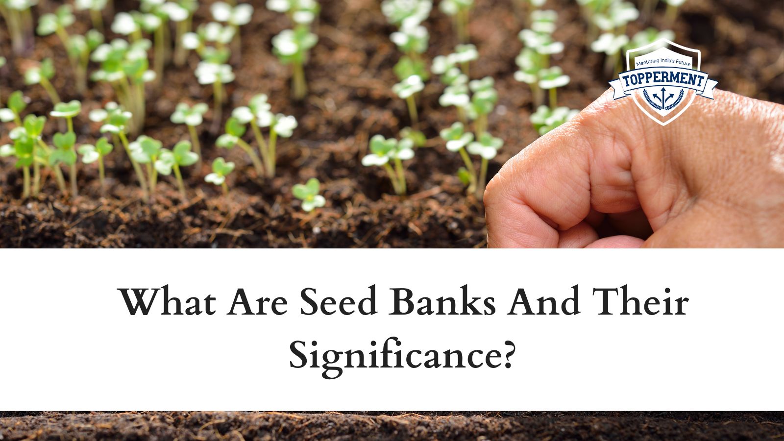 What-Are-Seed-Banks-And-Their-Significance-Best-UPSC-IAS-Coaching-For-Mentorship-And-Guidance