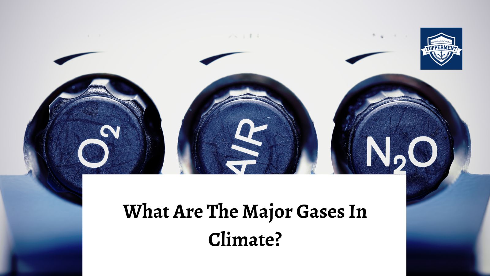 What Are The Major Gases In Climate? | Best UPSC IAS Coaching For Guidance and Mentorship