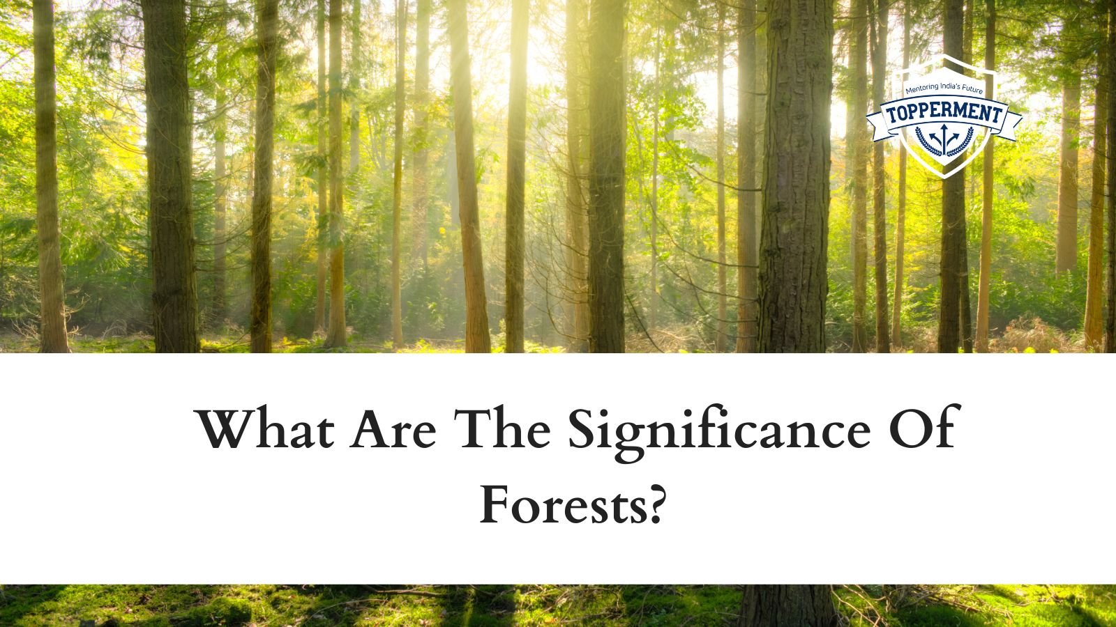 What-Is-The-Significance-Of-Forests-Best-UPSC-IAS-Coaching-For-Mentorship-And-Guidance