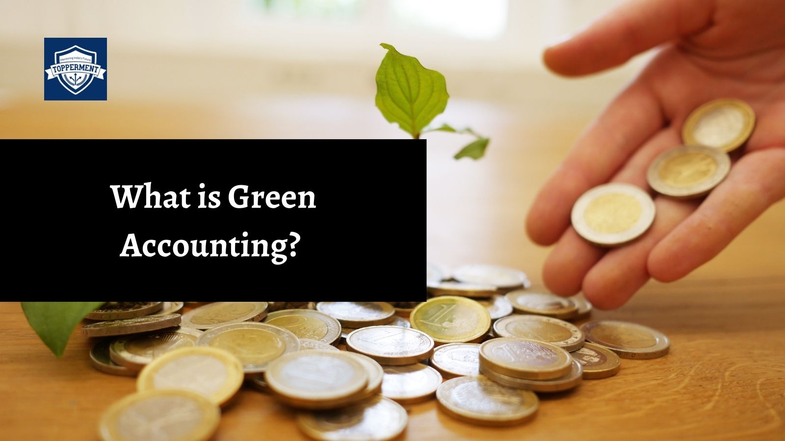 What-is-Green-Accounting-And-Its-Significance-Best-UPSC-IAS-Coaching-For-Mentorship-And-Guidance