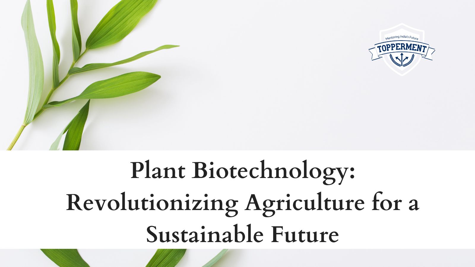Plant-Biotechnology-Revolutionizing-Agriculture-for-a-Sustainable-Future-Best-UPSC-IAS-Coaching-For-Mentorship-And-Guidance