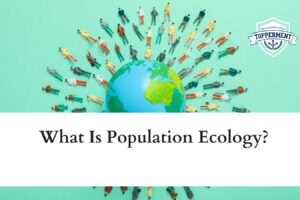 What-Is-Population-Ecology-Best-UPSC-IAS-Coaching-For-Mentorship-And-Guidance