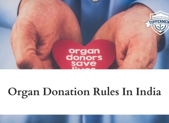 xr:d:DAFxZFCwPuU:257,j:8846603991332569763,t:23110705