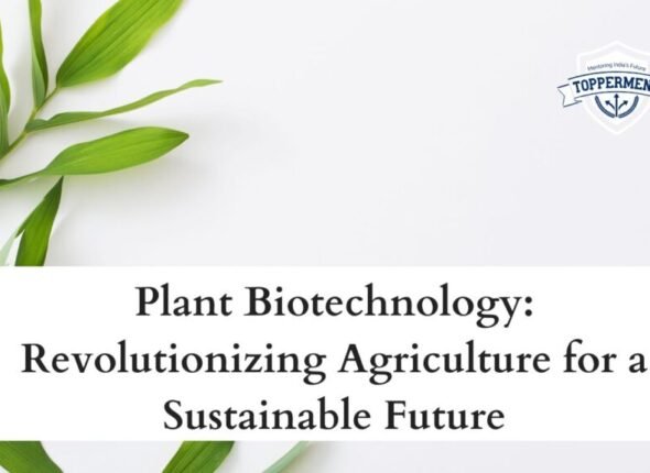 xr:d:DAFxZFCwPuU:245,j:7820909068772479900,t:23110604