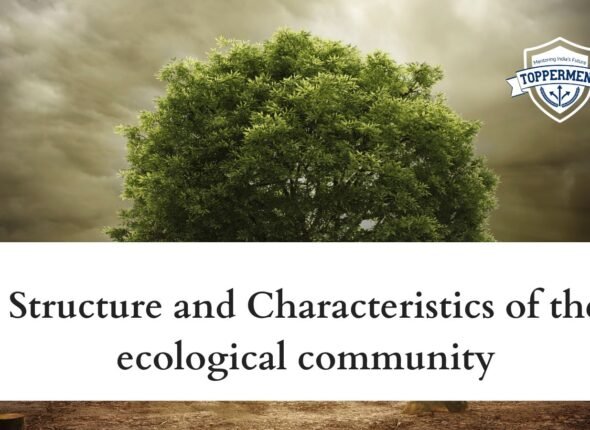 xr:d:DAFxZFCwPuU:200,j:4928471488717209828,t:23103004