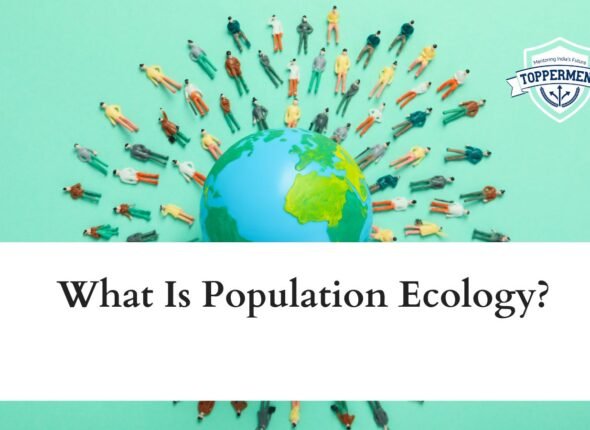 xr:d:DAFxZFCwPuU:245,j:7820909068772479900,t:23110604