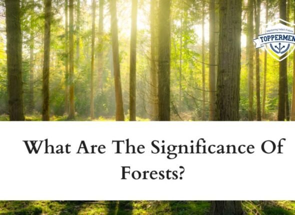 xr:d:DAFxZFCwPuU:200,j:4928471488717209828,t:23103004