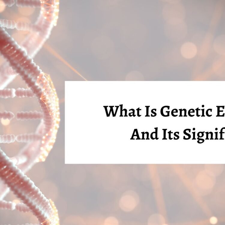 xr:d:DAFjD5Pif4k:678,j:6407902217361735365,t:23101305