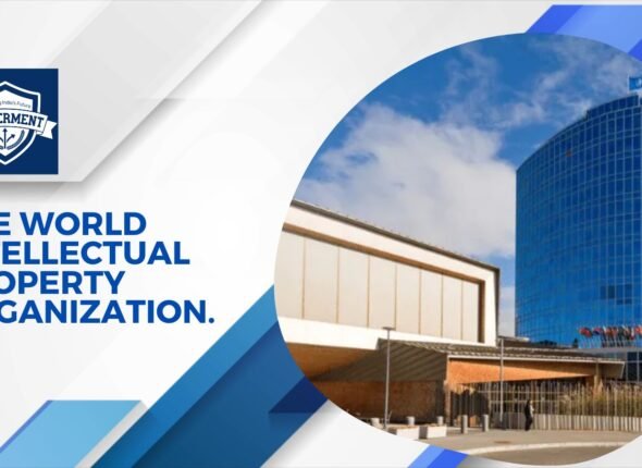 xr:d:DAFxZFCwPuU:171,j:3201340721312997174,t:23102704