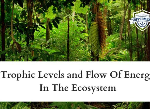 xr:d:DAFxZFCwPuU:150,j:97234581145806451,t:23102606