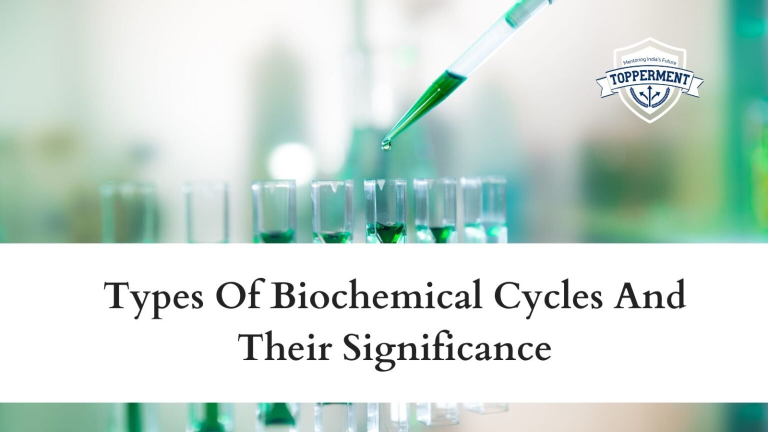 Types Of Biochemical Cycles And Their Significance | UPSC Science and ...