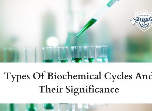 xr:d:DAFxZFCwPuU:150,j:97234581145806451,t:23102606