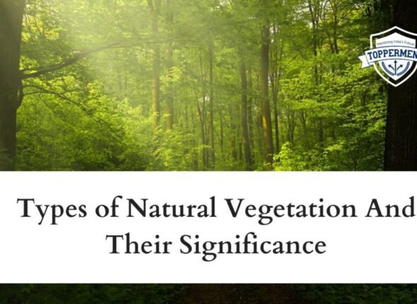 xr:d:DAFxZFCwPuU:131,j:7196033386424797990,t:23102505