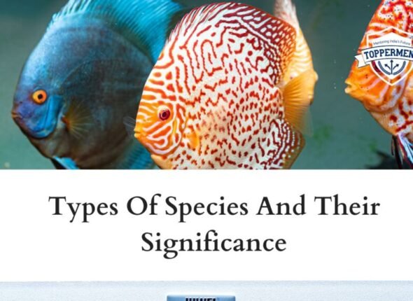 xr:d:DAFxZFCwPuU:131,j:7196033386424797990,t:23102505