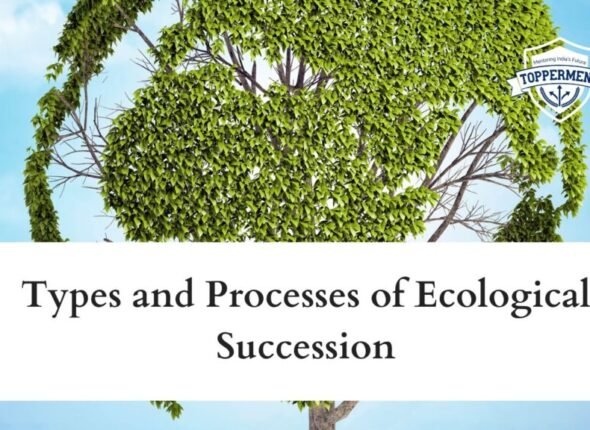 xr:d:DAFxZFCwPuU:150,j:97234581145806451,t:23102606