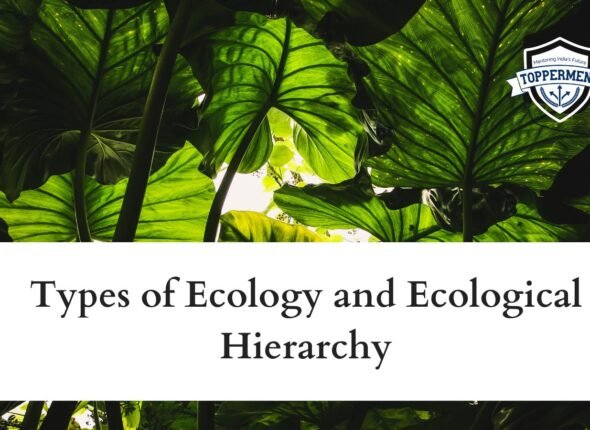 xr:d:DAFxZFCwPuU:150,j:97234581145806451,t:23102606