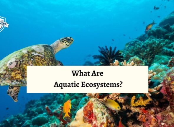 xr:d:DAFjD5Pif4k:678,j:8863489915598811527,t:23101306