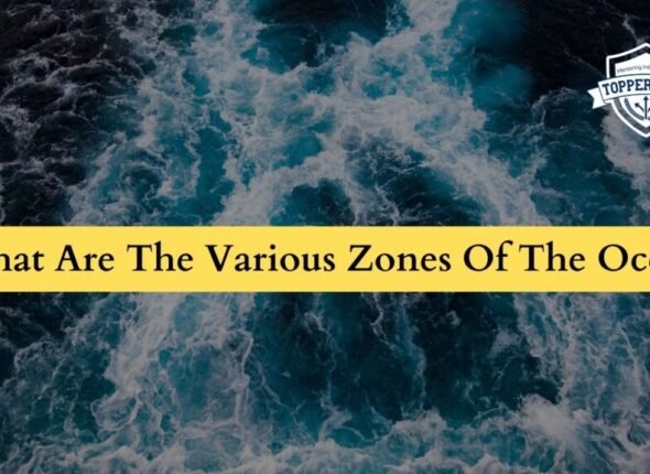 What-Are-The-Various-Zones-Of-The-Ocean-1024x576