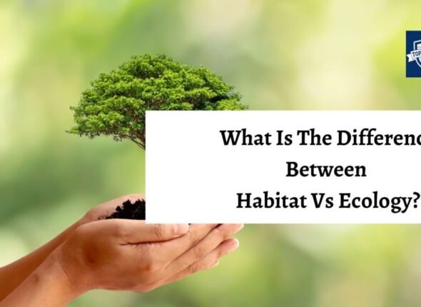 xr:d:DAFjD5Pif4k:678,j:6407902217361735365,t:23101305