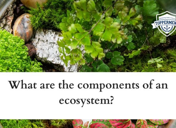 xr:d:DAFxZFCwPuU:105,j:6545262627623153862,t:23101906