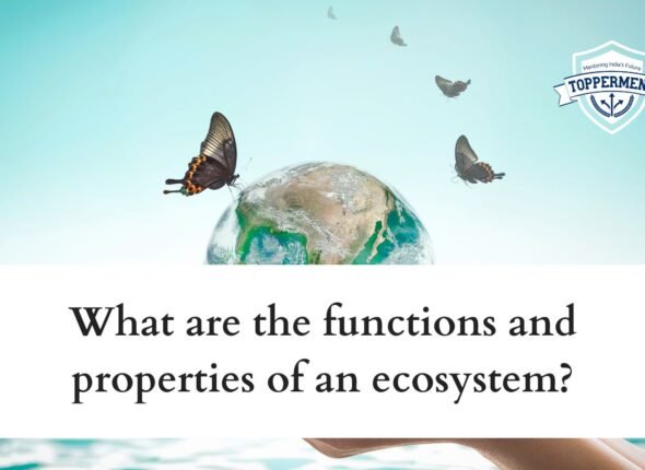 xr:d:DAFxZFCwPuU:105,j:6545262627623153862,t:23101906