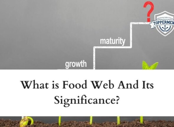 What-is-Food-Web-And-Its-Significance-Best-UPSC-IAS-Coaching-For-Mentorship-And-Guidance-1024x576